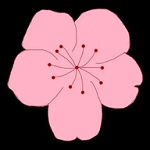 海外成人免费APP应用
